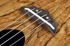 Concert Spalted Maple