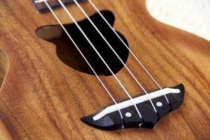 Concert Koa